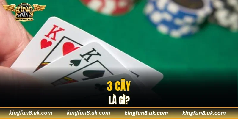 Giải mã khái niệm 3 cây là gì