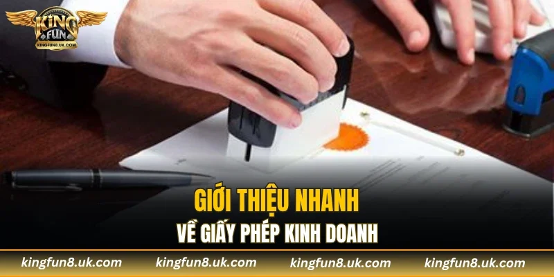 Giới thiệu nhanh về giấy phép kinh doanh