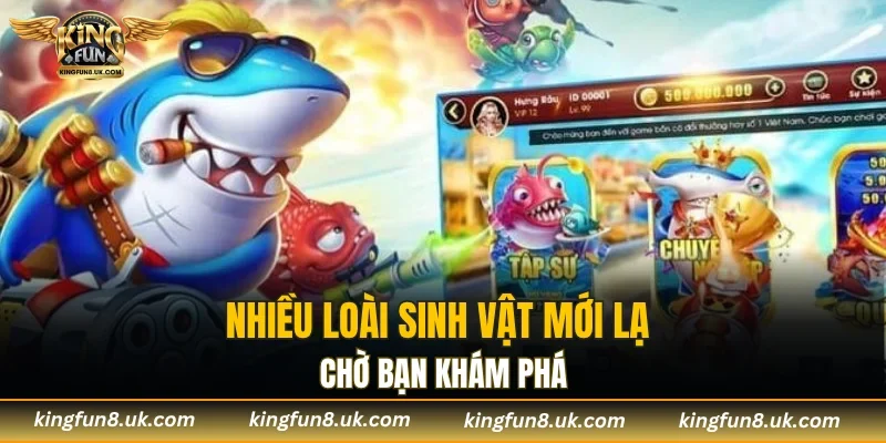 Nhiều loài sinh vật mới lạ chờ bạn khám phá